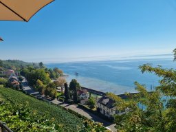 Der Bodensee